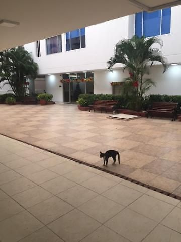 Apartamento Sol, Arena, Mar, Y Piscina Cartagena